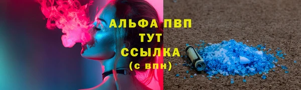 прущие грибы Майский