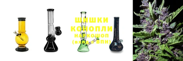 прущие грибы Майский