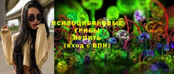 прущие грибы Майский