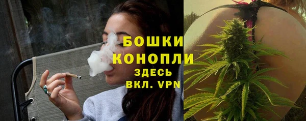 прущие грибы Майский